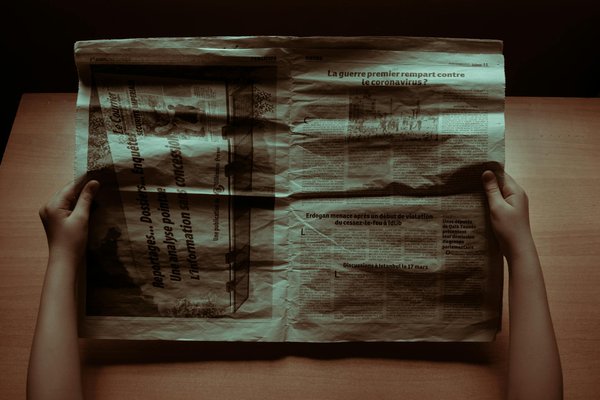 Conseils et astuces pour guérir rapidement un chat enrhumé : guide 2024